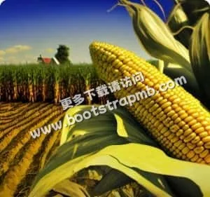 24小时在线服务，全年无休 - K1体育官网