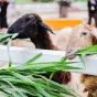 搜索 - K1体育官网