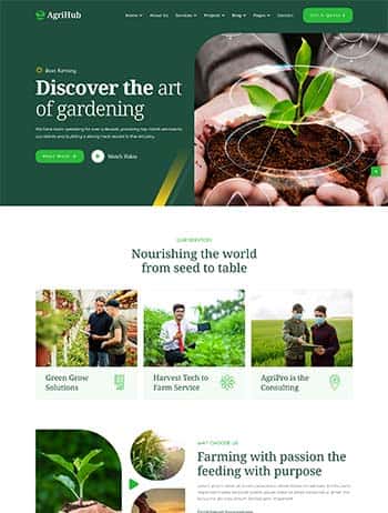K1体育官网